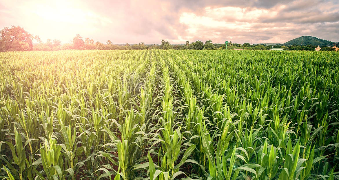 From Farm To Table: 100 Years Of Powering The Agriculture Industry 